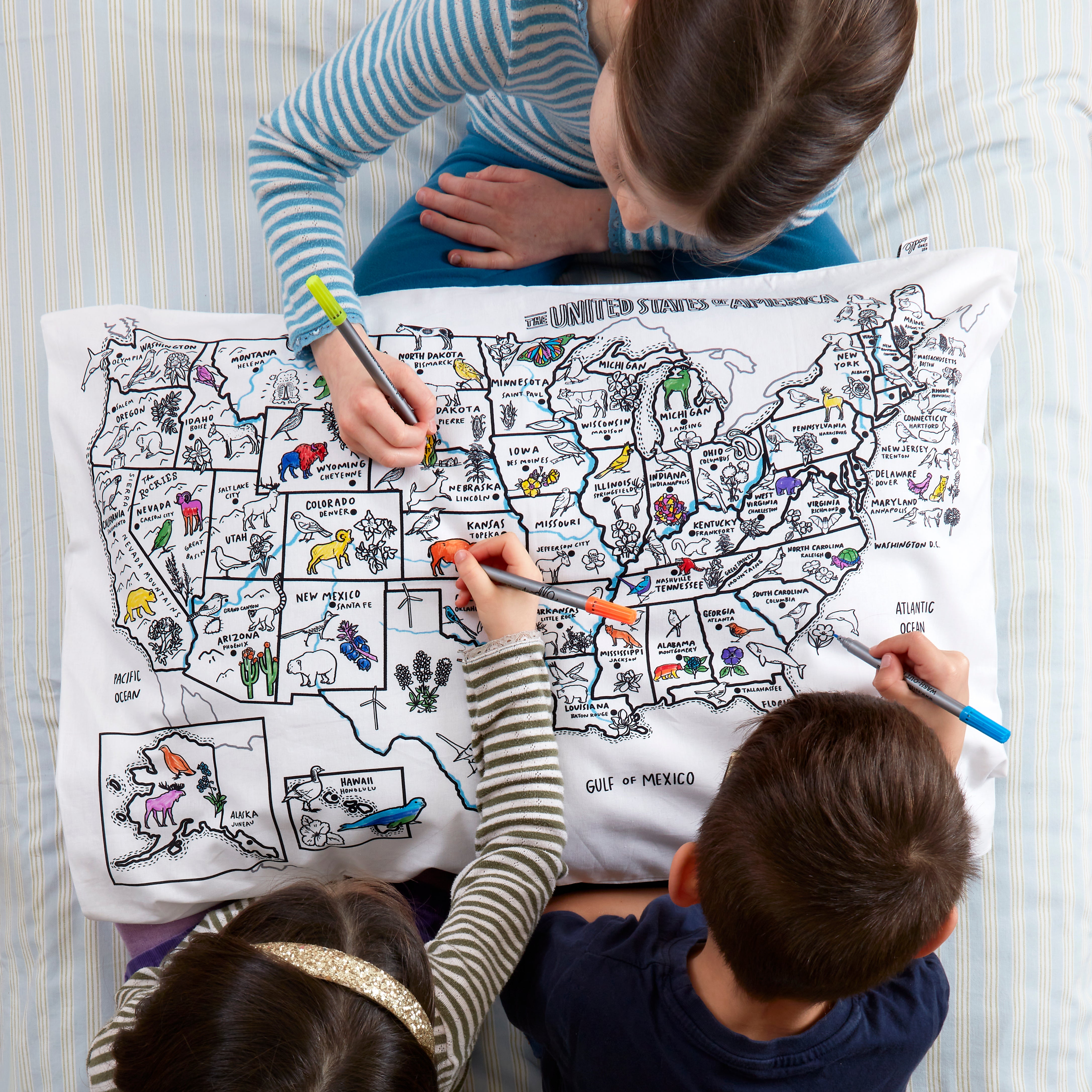 Color your 2025 own map pillowcase