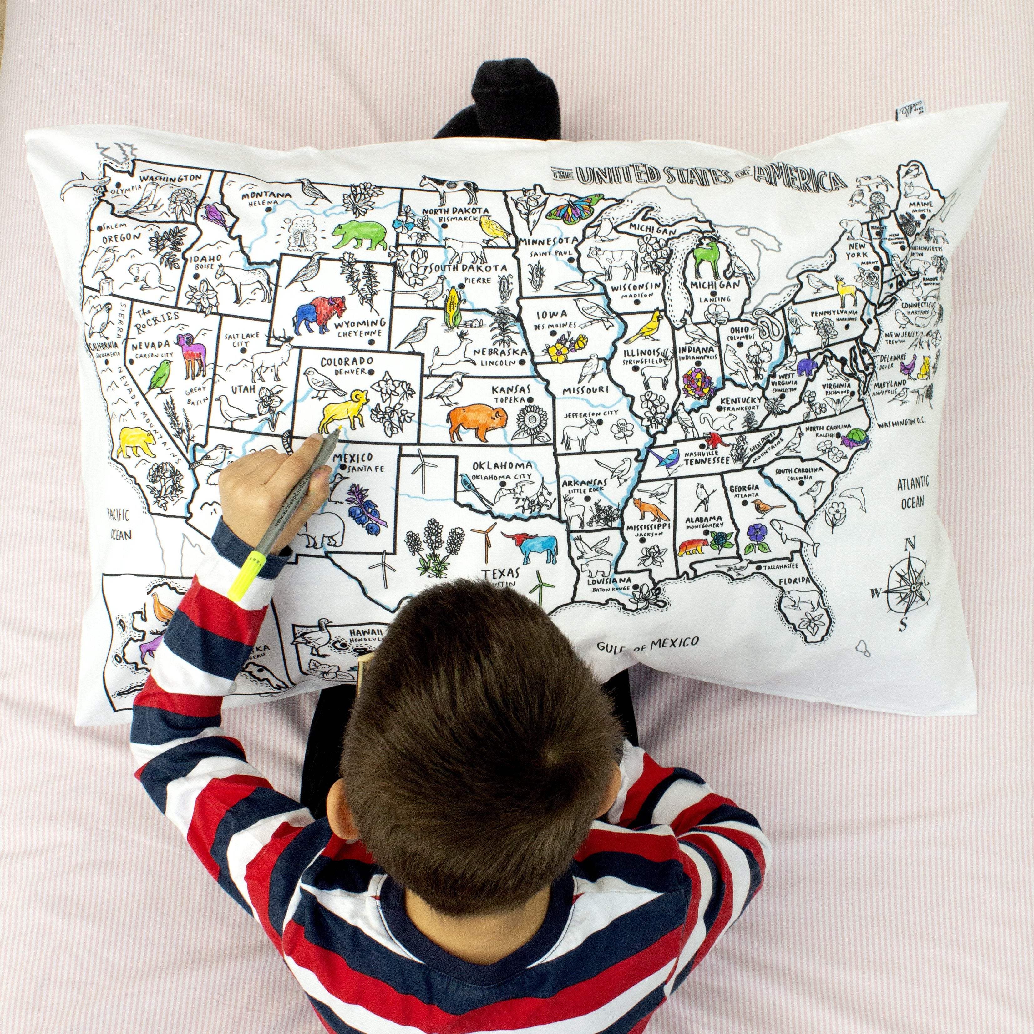 Color your sales own map pillowcase