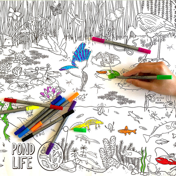 frogs, fish, birds coloring